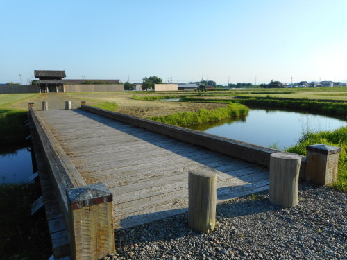 払田柵南大路木橋 (2).JPG