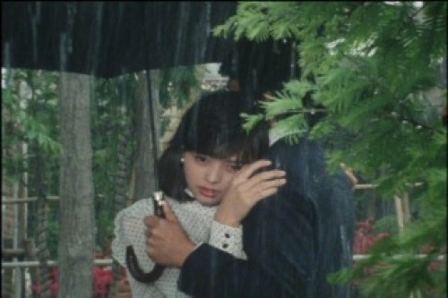 PDVD_005.jpg