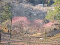 IMG_2171_R.JPG