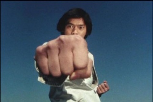 PDVD_161.jpg
