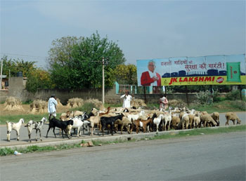 インド933.jpg