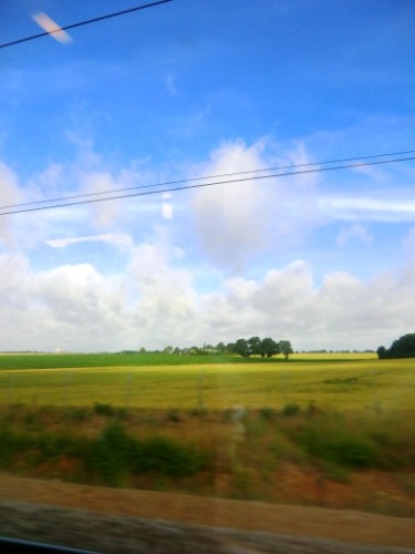 TGVからの風景.jpg