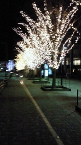 NEC_0062.JPG