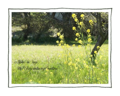 木曽三川公園　138タワーパーク