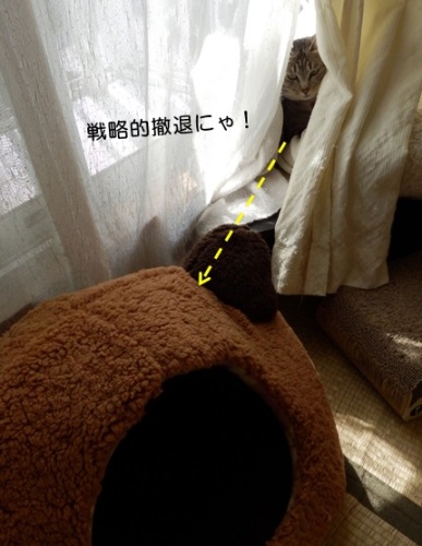 20151021_2.jpg