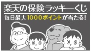 hoken top