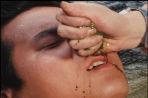 PDVD_028.jpg