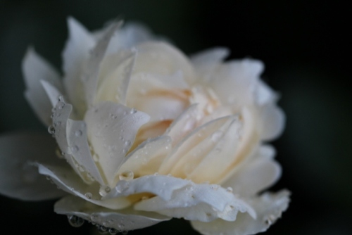 diary20130921-3 windermere.JPG
