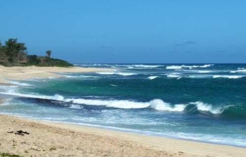 pict-カエナ 4.jpg