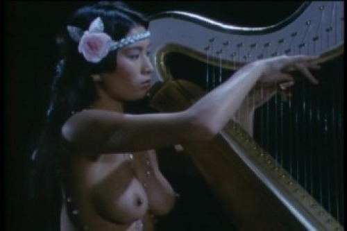 PDVD_002.jpg