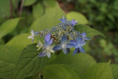 DSC03713.JPG