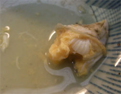 磯しま5.jpg
