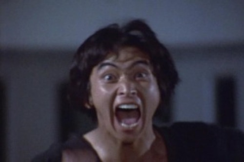 PDVD_012.jpg