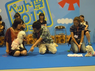 DSCN4380.jpg