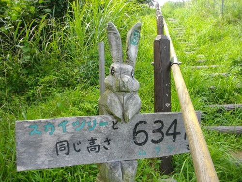 大野山登山道 (500x375).jpg