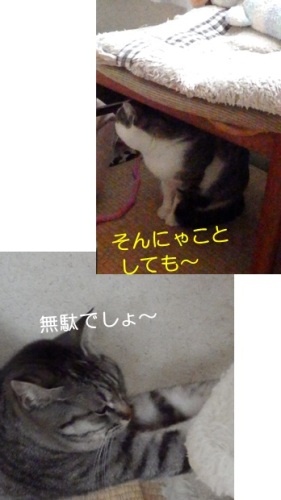 20140220_5.jpg