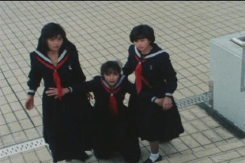 PDVD_018.jpg