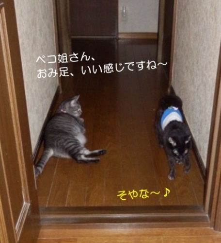 20150823_3.jpg