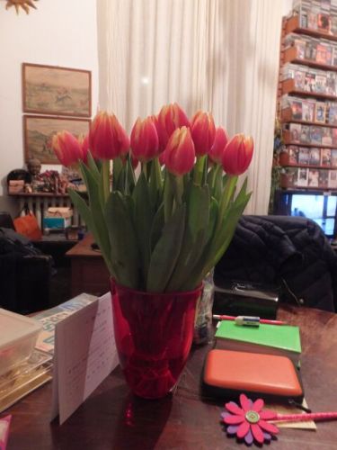9 venerdi fiori.jpg