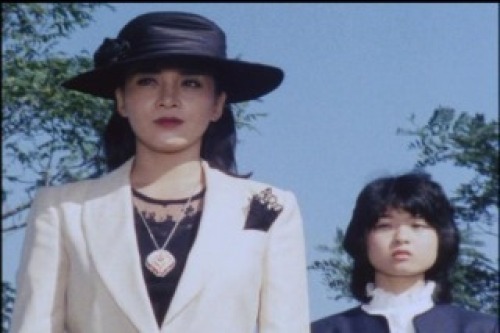 PDVD_006.jpg
