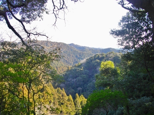 花嫁街道じがい水 (1) (500x375).jpg