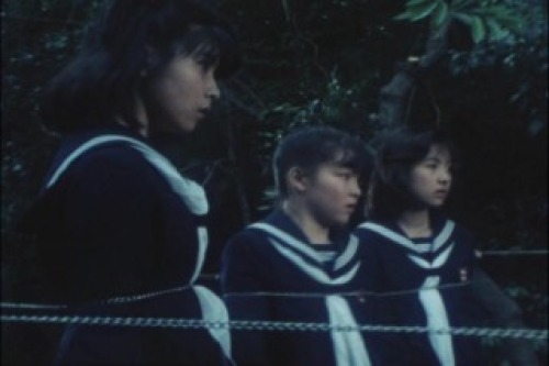 PDVD_039.jpg