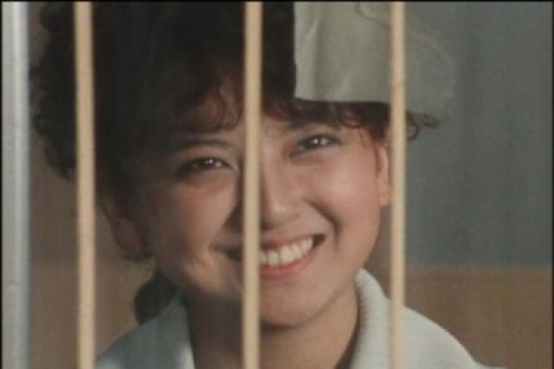PDVD_010.jpg