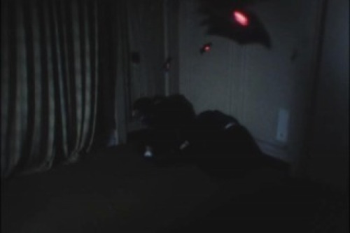 PDVD_031.jpg