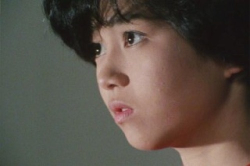 PDVD_002.jpg