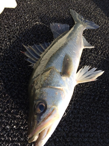 201406021014_1975_iphone.jpg