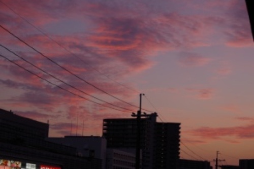 IMGP3872.jpg