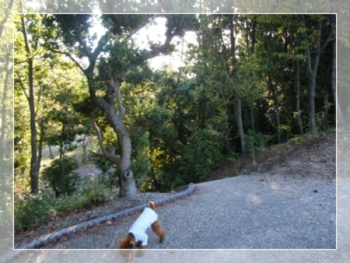 DSCF0066.JPG