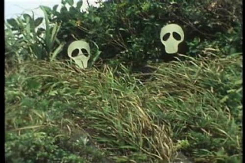 PDVD_002.jpg