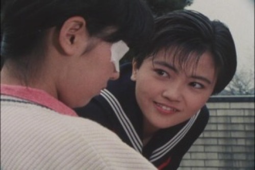 PDVD_009.jpg