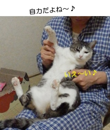 20141014_6.jpg