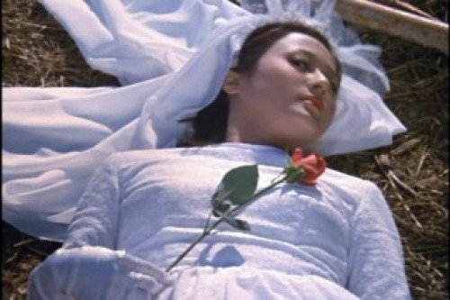 PDVD_056.jpg