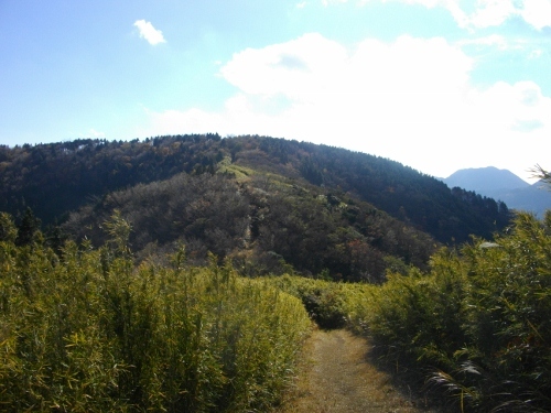 箱根外輪山明星ヶ岳 (5) (500x375).jpg