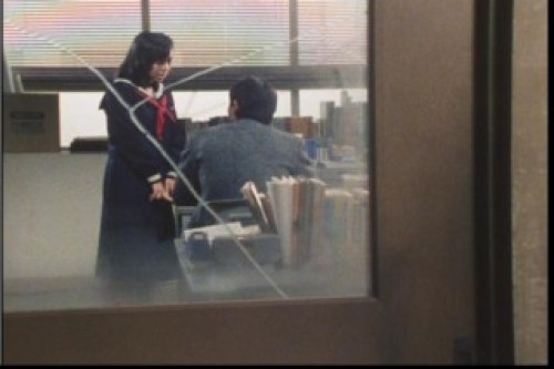 PDVD_005.jpg