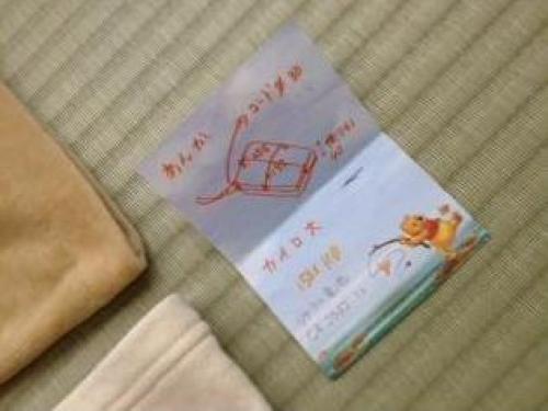 foot warmer case_R.JPG