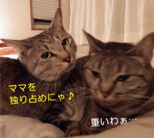 20141024_3.jpg