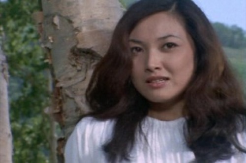 PDVD_014.jpg