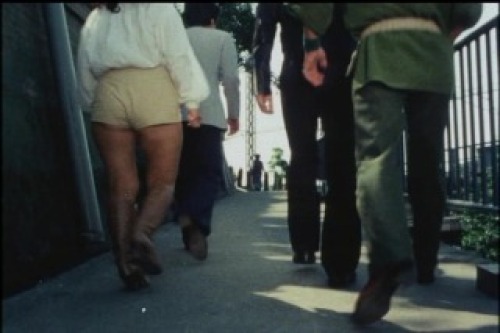 PDVD_026.jpg