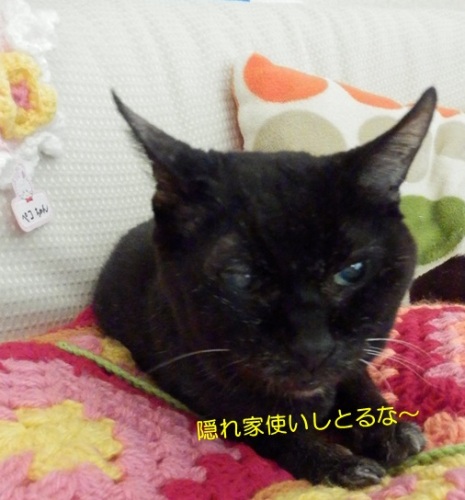 20150515_7.jpg