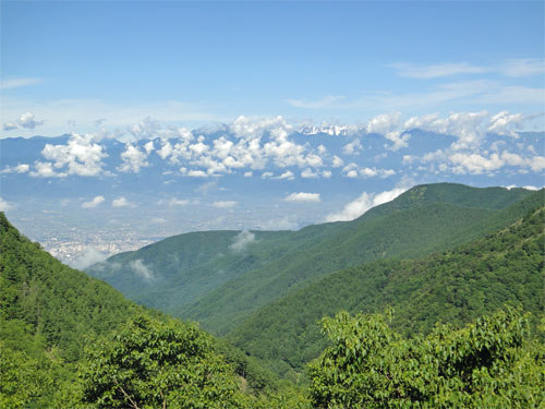 王ヶ頭146.jpg