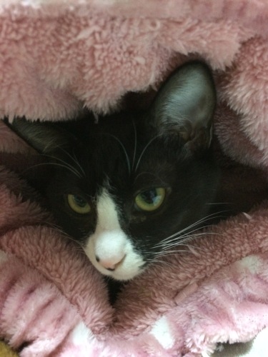 IMG_8069 - コピー.JPG