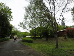 埼玉2.jpg
