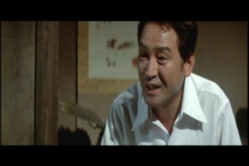 PDVD_007.jpg