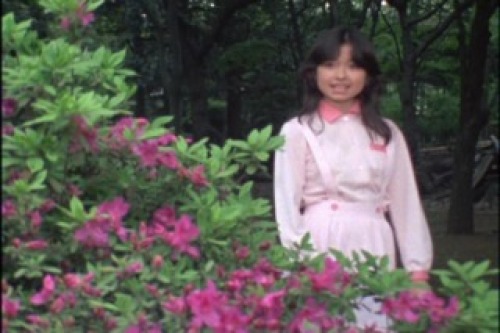 PDVD_006.jpg