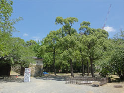 姫路城9.jpg