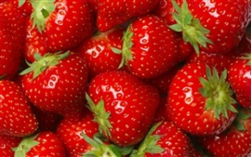 Many-strawberries-red-fruit-delicious_s.jpg